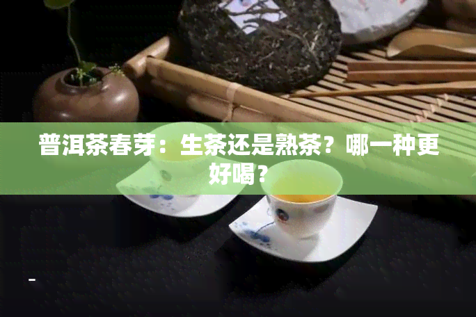 普洱茶春芽：生茶还是熟茶？哪一种更好喝？