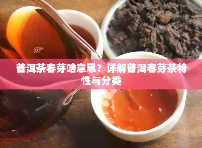 普洱茶春芽啥意思？详解普洱春芽茶特性与分类