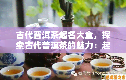 古代普洱茶起名大全，探索古代普洱茶的魅力：起名大全解析