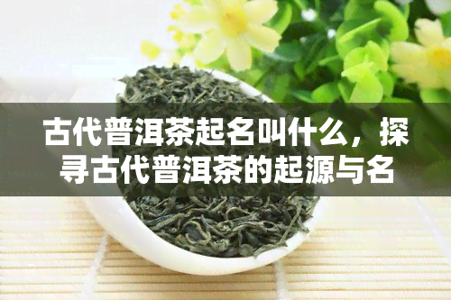 古代普洱茶起名叫什么，探寻古代普洱茶的起源与名称背后的故事