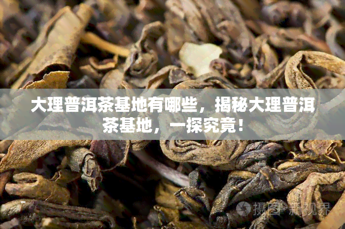 大理普洱茶基地有哪些，揭秘大理普洱茶基地，一探究竟！