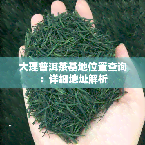 大理普洱茶基地位置查询：详细地址解析