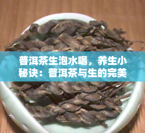 普洱茶生泡水喝，养生小秘诀：普洱茶与生的完美搭配，让你每天都能享受健饮品！