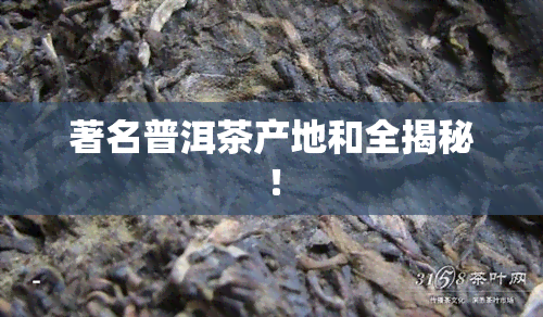 著名普洱茶产地和全揭秘！