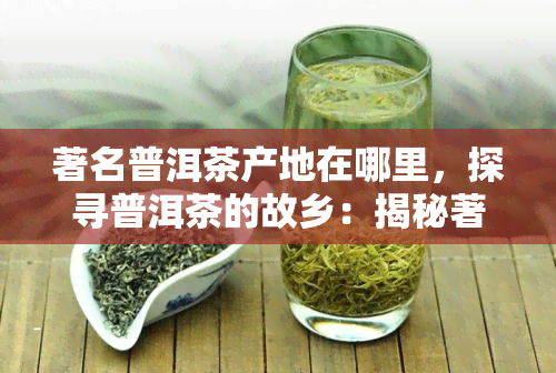 著名普洱茶产地在哪里，探寻普洱茶的故乡：揭秘著名普洱茶产地