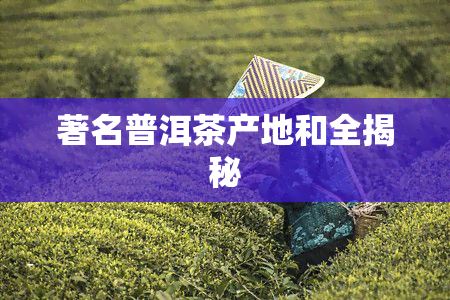 著名普洱茶产地和全揭秘