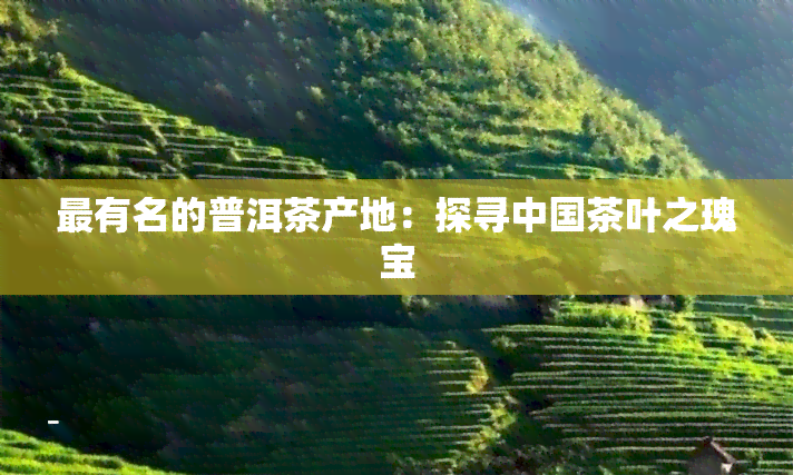 最有名的普洱茶产地：探寻中国茶叶之瑰宝