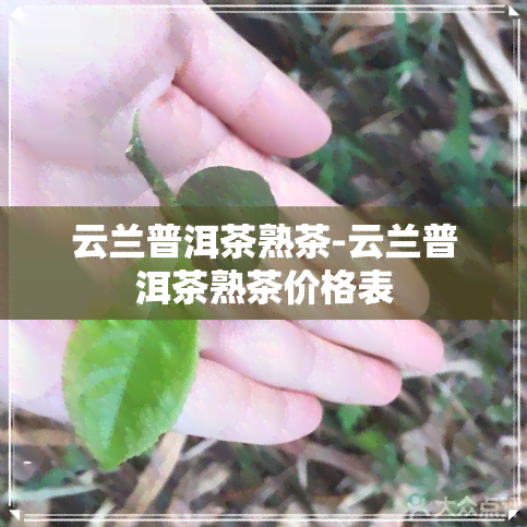 云兰普洱茶熟茶-云兰普洱茶熟茶价格表