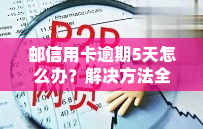 邮信用卡逾期5天怎么办？解决方法全攻略！