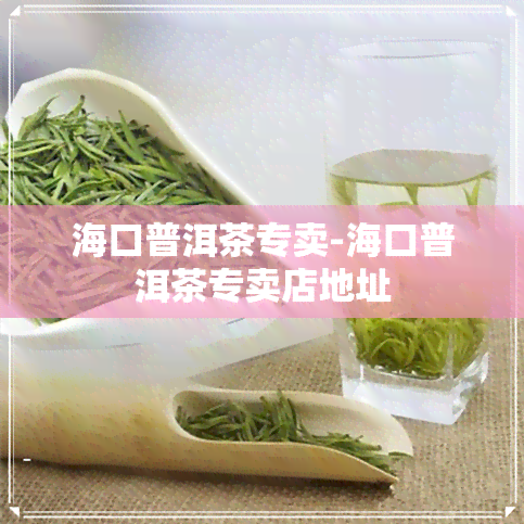 海口普洱茶专卖-海口普洱茶专卖店地址