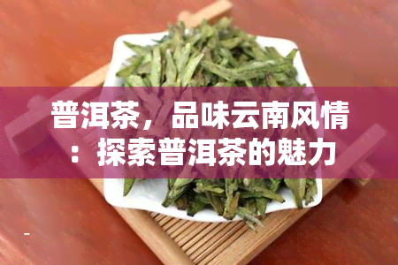 普洱茶，品味云南风情：探索普洱茶的魅力