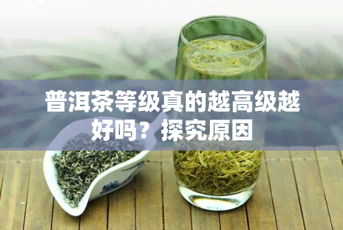 普洱茶等级真的越高级越好吗？探究原因