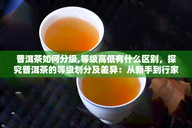 普洱茶如何分级,等级高低有什么区别，探究普洱茶的等级划分及差异：从新手到行家的必读指南