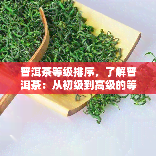 普洱茶等级排序，了解普洱茶：从初级到高级的等级排序