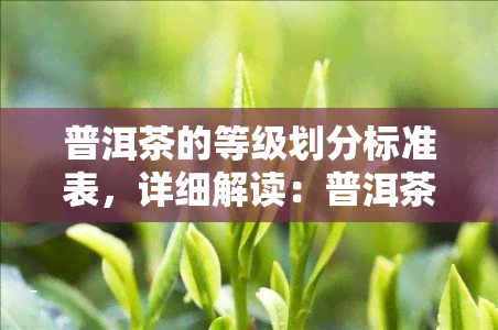 普洱茶的等级划分标准表，详细解读：普洱茶的等级划分标准表