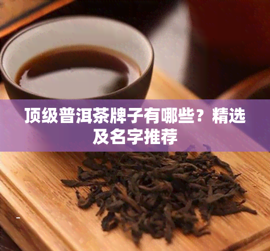 顶级普洱茶牌子有哪些？精选及名字推荐