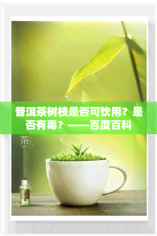 普洱茶树枝是否可饮用？是否有？——百度百科