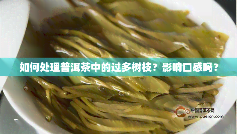 如何处理普洱茶中的过多树枝？影响口感吗？