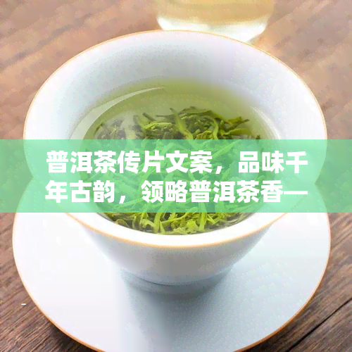 普洱茶传片文案，品味千年古韵，领略普洱茶香——普洱茶传片文案