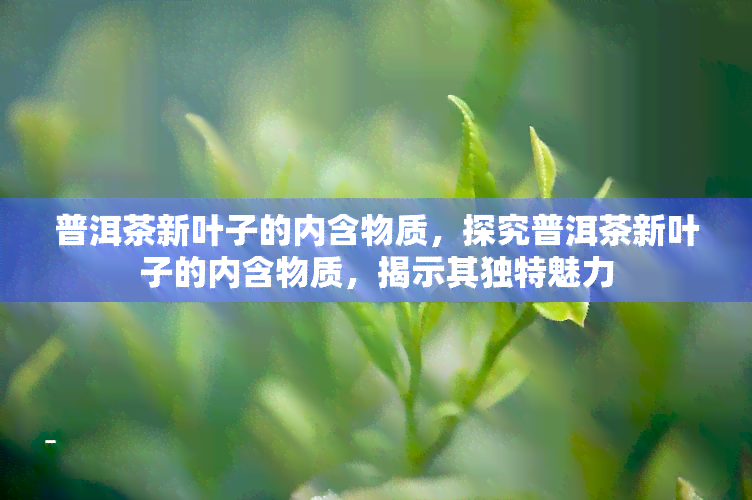 普洱茶新叶子的内含物质，探究普洱茶新叶子的内含物质，揭示其独特魅力