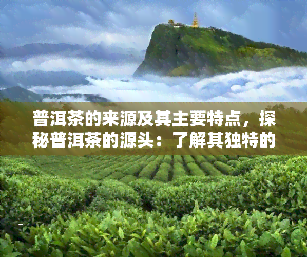 普洱茶的来源及其主要特点，探秘普洱茶的源头：了解其独特的主要特点