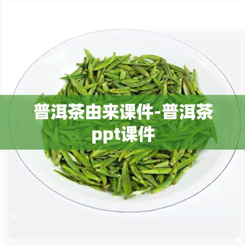 普洱茶由来课件-普洱茶ppt课件