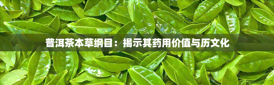 普洱茶本草纲目：揭示其药用价值与历文化