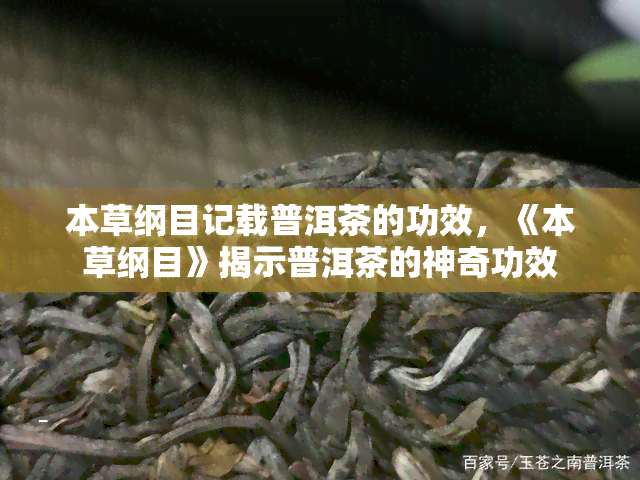 本草纲目记载普洱茶的功效，《本草纲目》揭示普洱茶的神奇功效