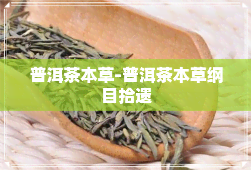 普洱茶本草-普洱茶本草纲目拾遗