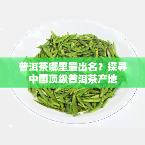 普洱茶哪里最出名？探寻中国顶级普洱茶产地