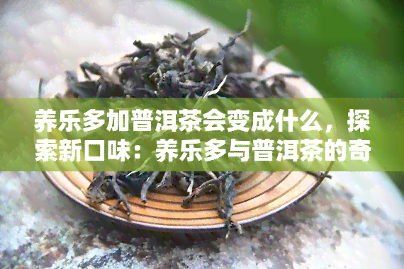 养乐多加普洱茶会变成什么，探索新口味：养乐多与普洱茶的奇妙结合