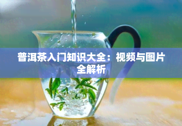 普洱茶入门知识大全：视频与图片全解析