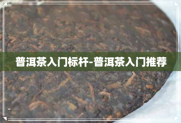 普洱茶入门标杆-普洱茶入门推荐