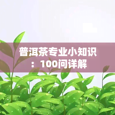 普洱茶专业小知识：100问详解