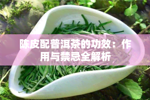 陈皮配普洱茶的功效：作用与禁忌全解析