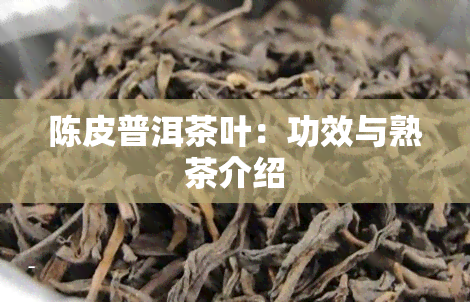 陈皮普洱茶叶：功效与熟茶介绍