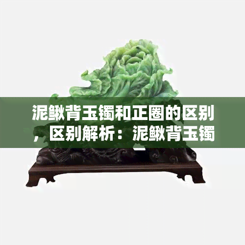 泥鳅背玉镯和正圈的区别，区别解析：泥鳅背玉镯与正圈的差异之处