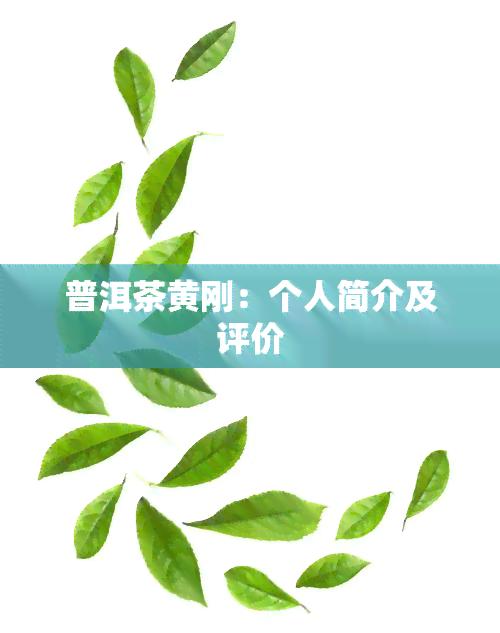 普洱茶黄刚：个人简介及评价