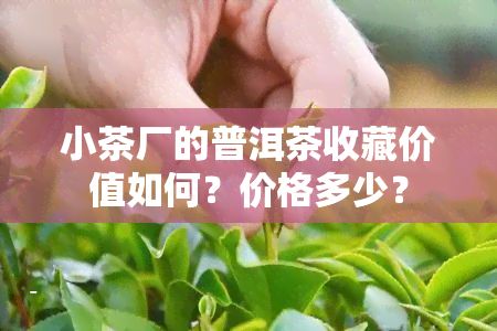 小茶厂的普洱茶收藏价值如何？价格多少？