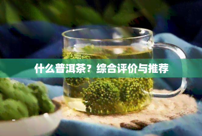 什么普洱茶？综合评价与推荐