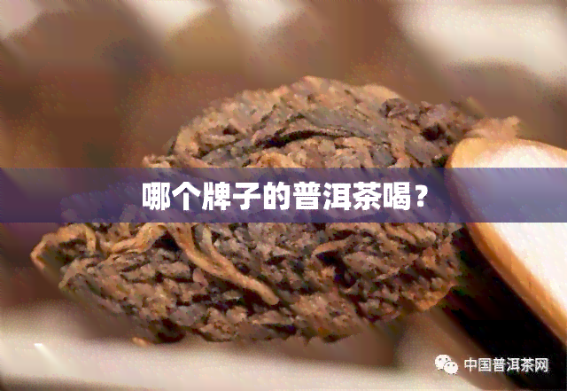 哪个牌子的普洱茶喝？