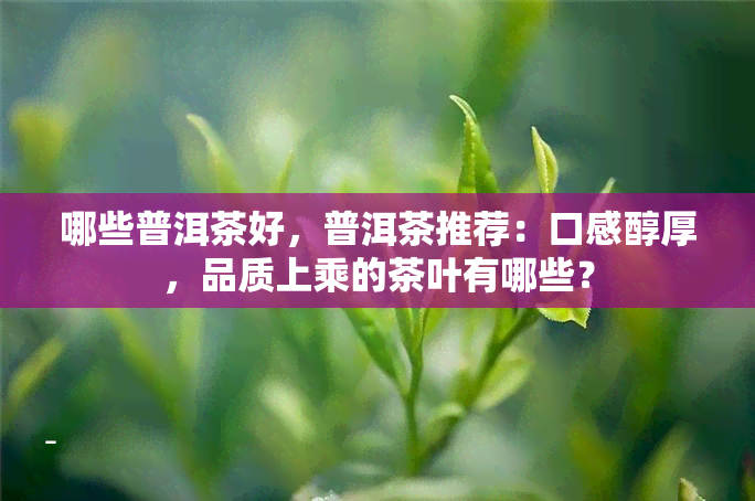 哪些普洱茶好，普洱茶推荐：口感醇厚，品质上乘的茶叶有哪些？