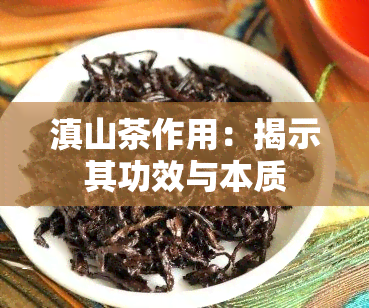 滇山茶作用：揭示其功效与本质