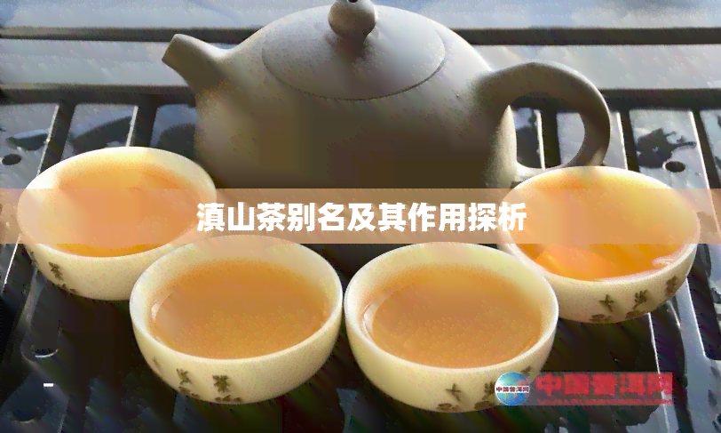 滇山茶别名及其作用探析