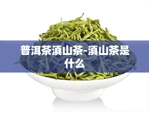 普洱茶滇山茶-滇山茶是什么