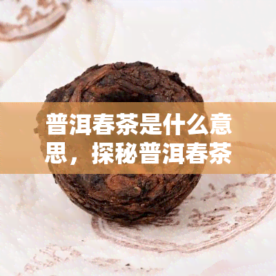 普洱春茶是什么意思，探秘普洱春茶：了解这种独特茶叶的含义和魅力