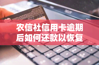 农信社信用卡逾期后如何还款以恢复正常使用？逾期多久会上？