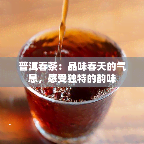 普洱春茶：品味春天的气息，感受独特的韵味