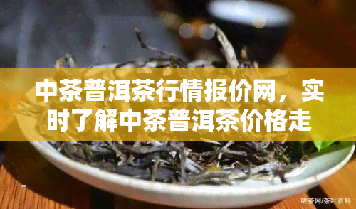 中茶普洱茶行情报价网，实时了解中茶普洱茶价格走势，尽在中茶普洱茶行情报价网！