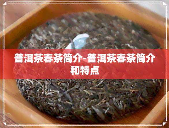 普洱茶春茶简介-普洱茶春茶简介和特点